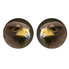 1" Epoxy Cab - Eagle (Pair)