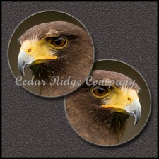 1" Epoxy Cab - Eagle (Pair)