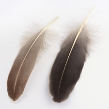 50pcs Goose Feathers 6-8 inch Craft Feather Plumes Natural Dark Grey