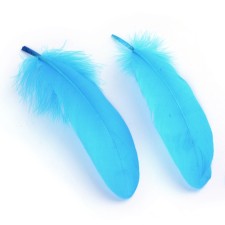 50pcs Goose Feathers 6-8 inch Craft Feather Plumes Blue