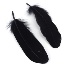 50pcs Goose Feathers 6-8 inch Craft Feather Plumes Black