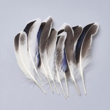 500pcs Goose Feathers 4-6 inch Craft Feather Plumes Natural Color