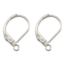 Stainless Steel Leverback Earring Findings