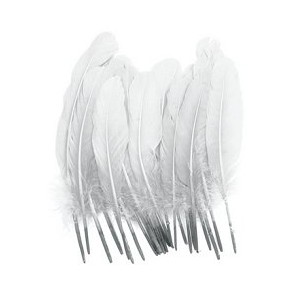 Goose Feathers 8 inch White x 18