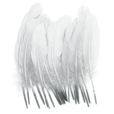 White Goose Feathers - 8 Inches (Pack of 18)